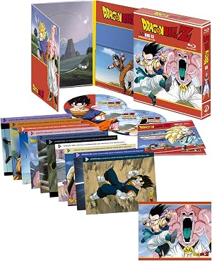 Dragon Ball Z Box 13 (Episodios 248 a 270)[Bluray] [Blu-ray]