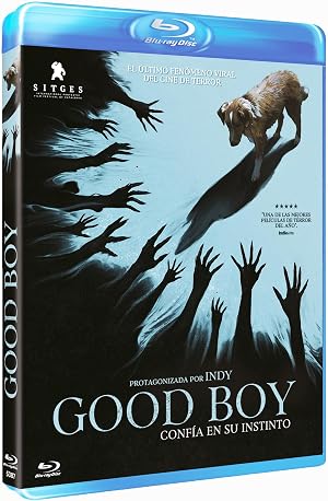 Good Boy [Blu-ray] (2025) Good Boy