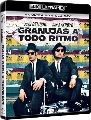 Granujas a todo ritmo [DVD]