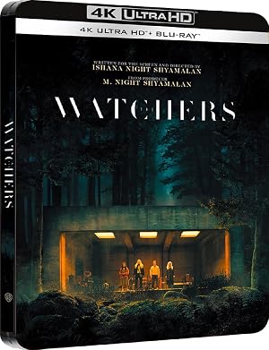 Los vigilantes [Region Free] (Subt&iacute;tulos en espa&ntilde;ol)